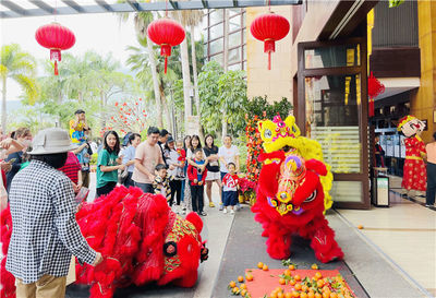 中国旅游集团在海南多板块业务实现新春开门红